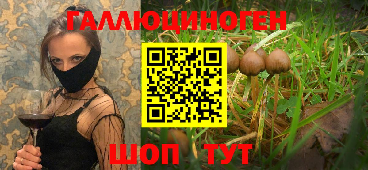 Псилоцибиновые грибы GOLDEN TEACHER  Вход с VPN  Нижний Тагил  Псилоцибиновые грибы Psilocybine cubensis 